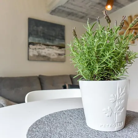 Stunning Seaside Haus * Palanga