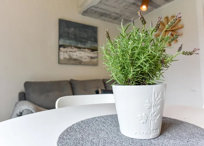 Stunning Seaside Haus * Palanga